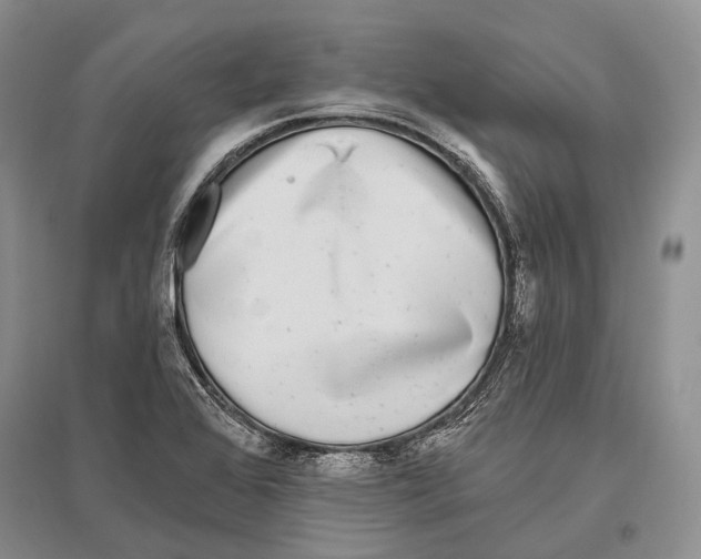 X0000096451368200802211224