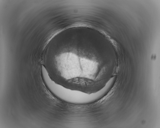 X0000096451369200802211224