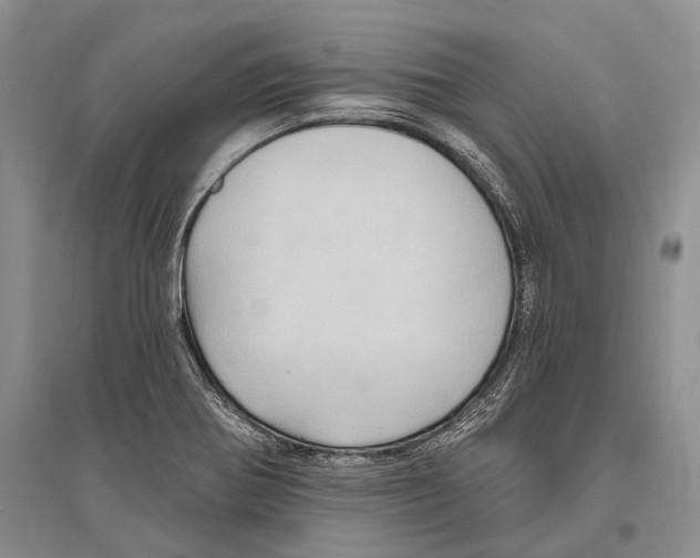 X0000096451370200802211224