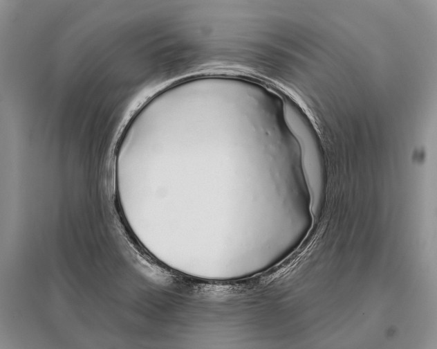 X0000096451371200802211224