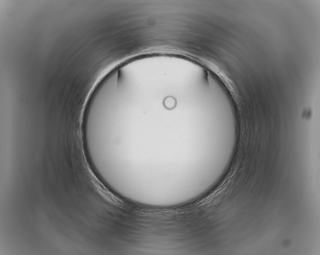 X0000096451372200802211224