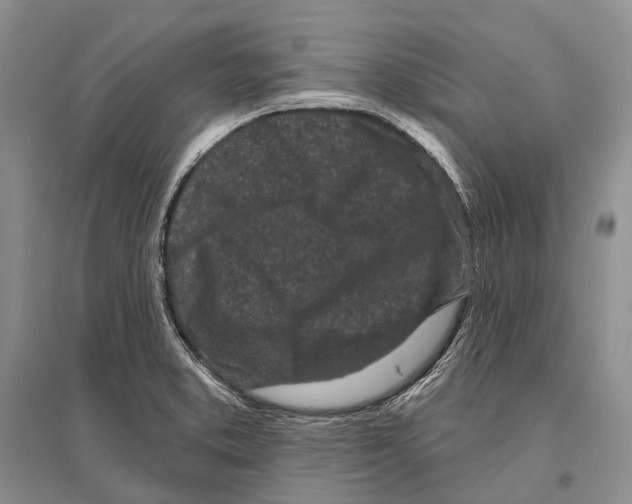 X0000096451373200802211224