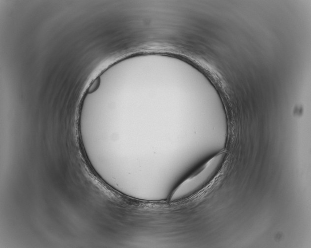 X0000096451374200802211224