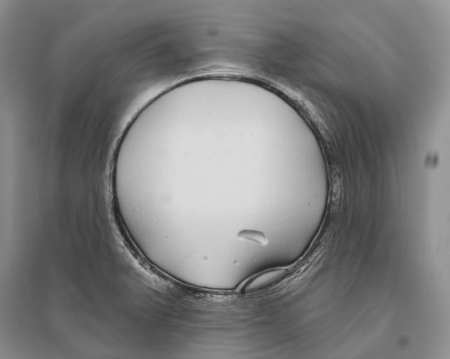 X0000096451375200802211224