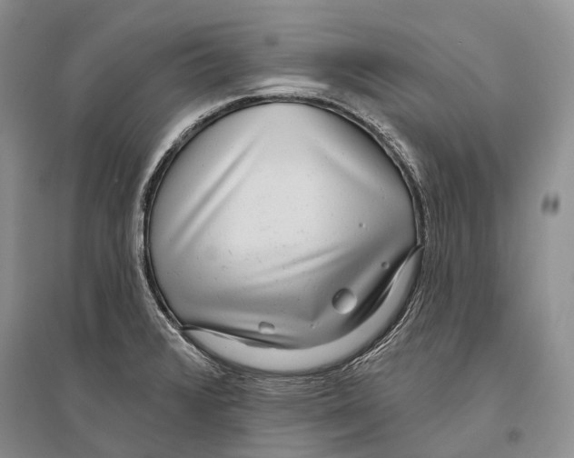 X0000096451376200802211224