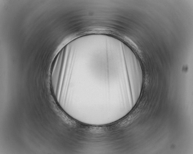 X0000096451378200802211224