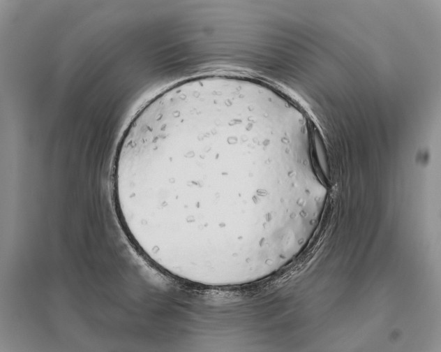 X0000096451379200802211224