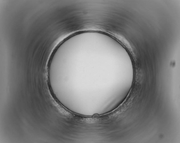 X0000096451380200802211224