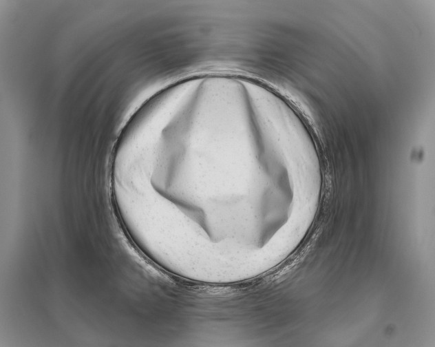 X0000096451382200802211224