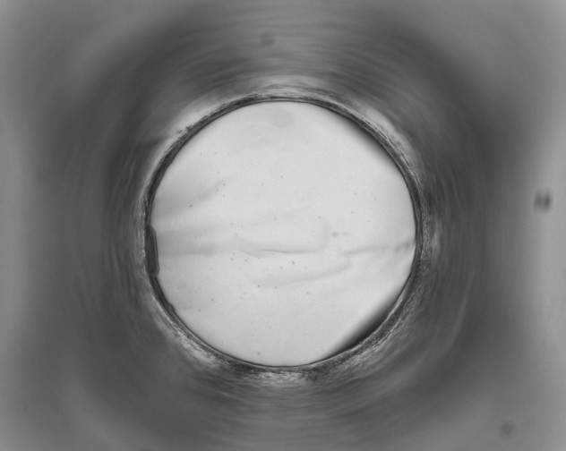 X0000096451384200802211224