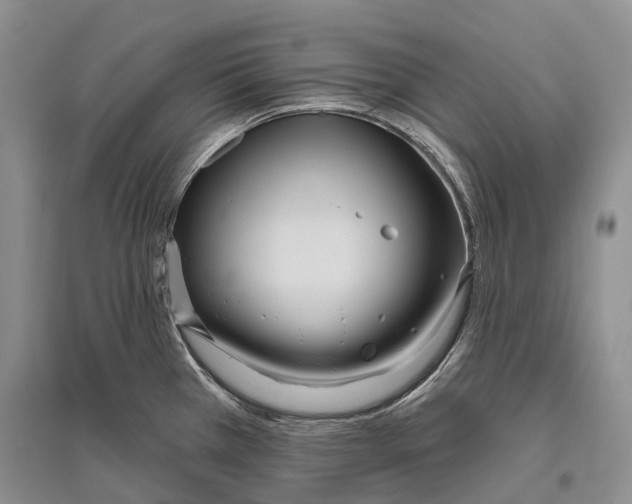 X0000096451385200802211224