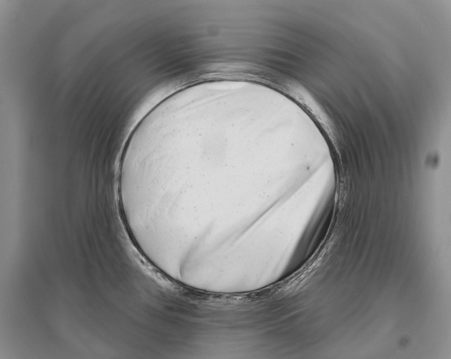 X0000096451386200802211224