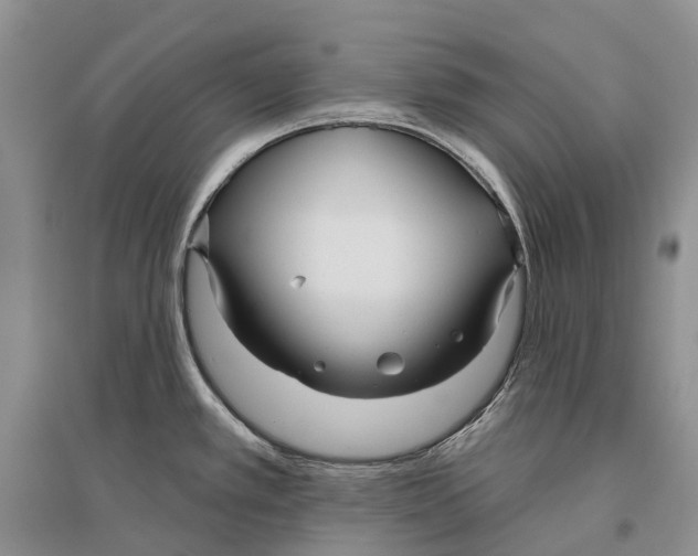 X0000096451389200802211224