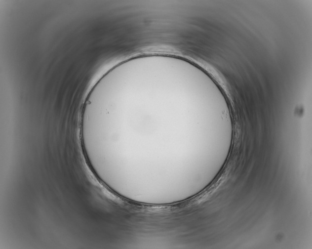 X0000096451390200802211224