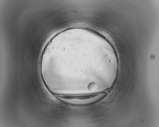 X0000096451392200802211224