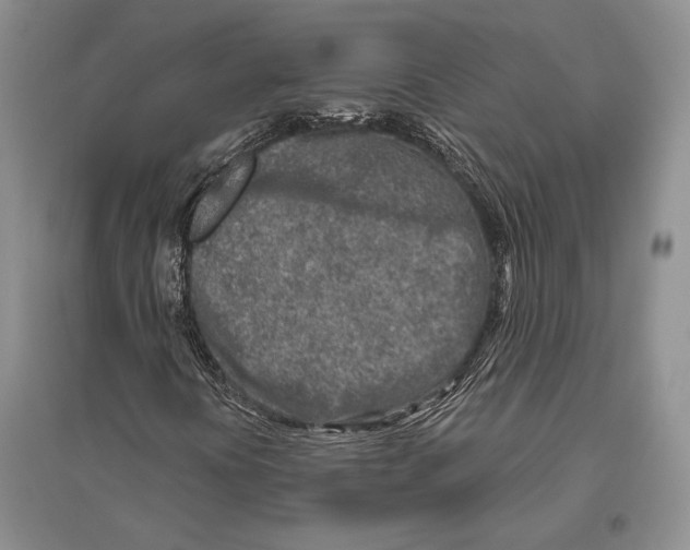 X0000096451394200802211223