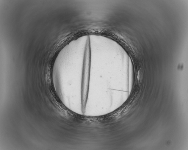 X0000096451396200802211223