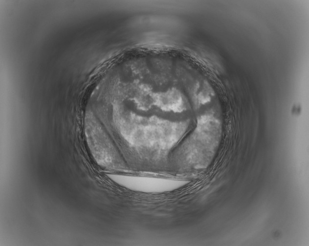 X0000096451397200802211223