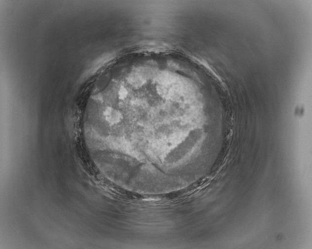 X0000096451399200802211223