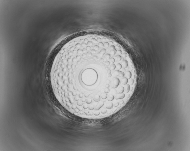 X0000096451400200802211223