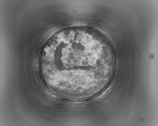 X0000096451401200802211223