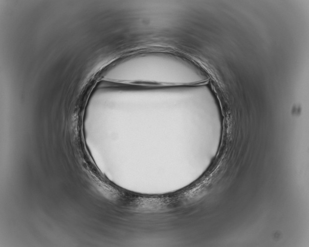 X0000096451402200802211223