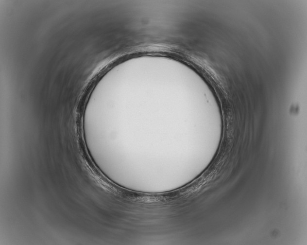 X0000096451404200802211223