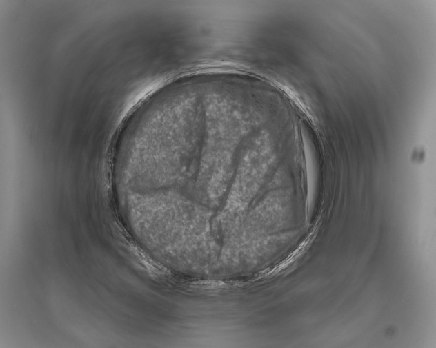 X0000096451405200802211223