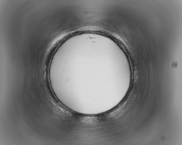 X0000096451406200802211223