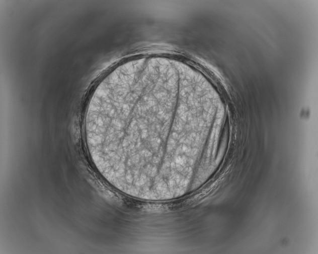 X0000096451407200802211223