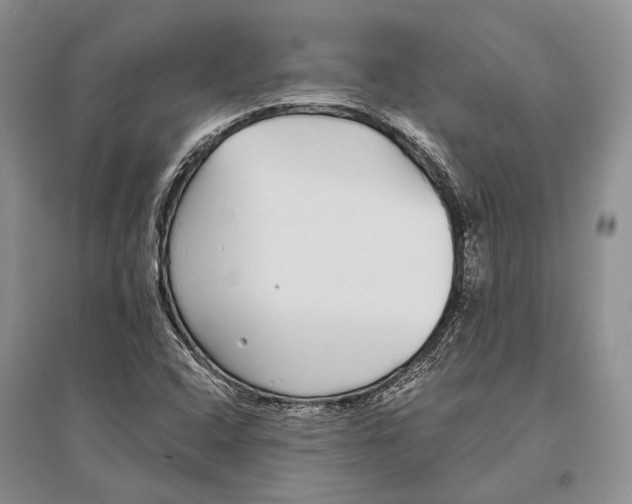 X0000096451408200802211223