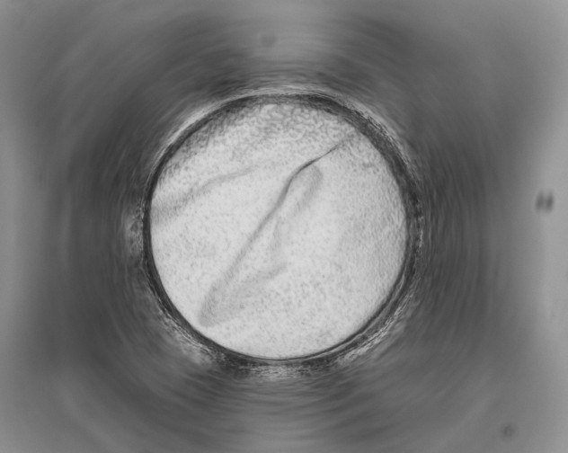 X0000096451409200802211223