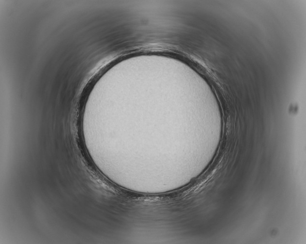 X0000096451410200802211223