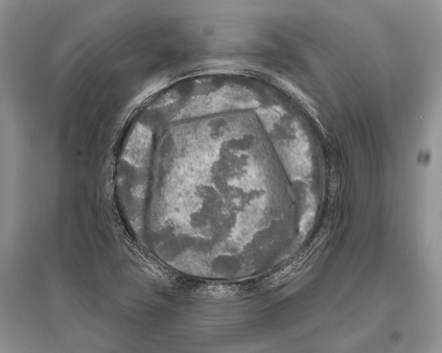 X0000096451411200802211223