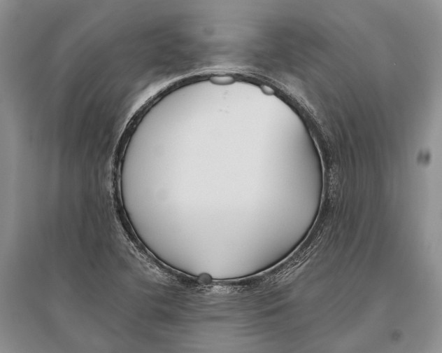 X0000096451412200802211223