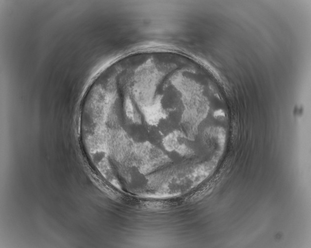 X0000096451413200802211223