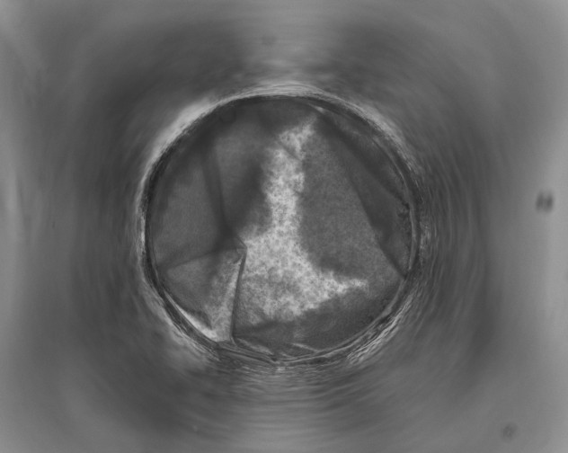 X0000096451414200802211223