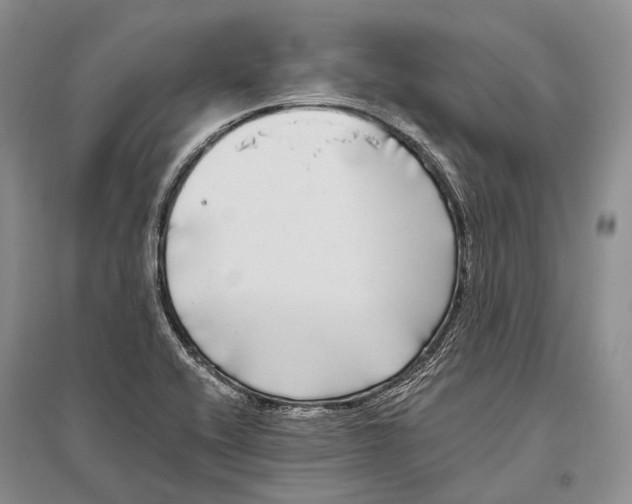 X0000096451416200802211223