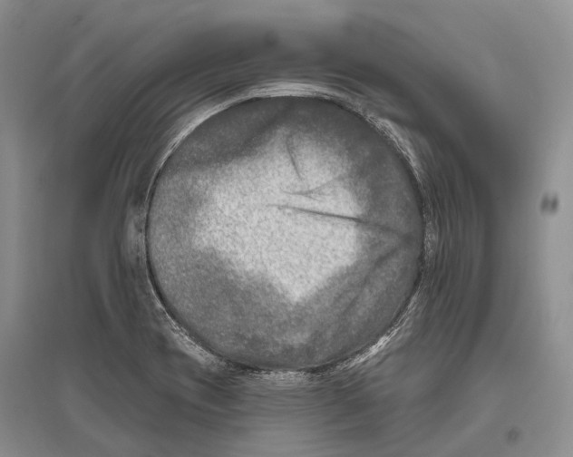 X0000096451417200802211223