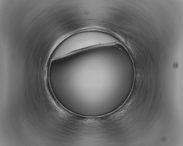 X0000096451418200802211223