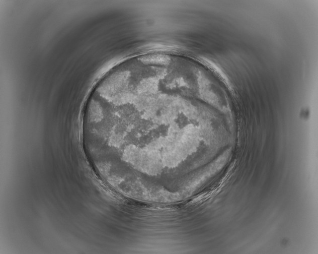 X0000096451419200802211223