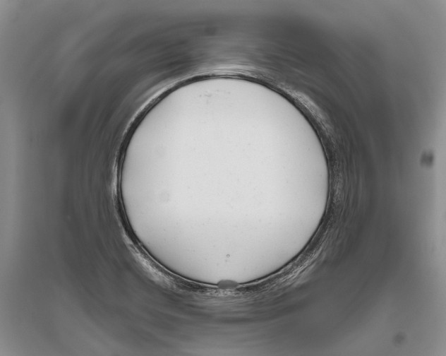 X0000096451420200802211223