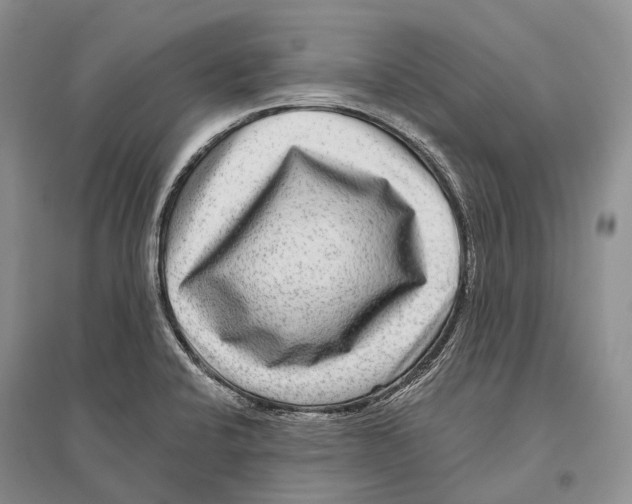 X0000096451424200802211223