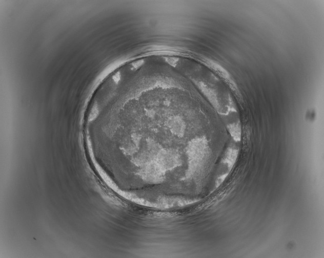 X0000096451427200802211223