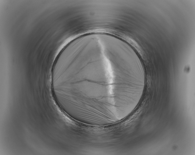 X0000096451428200802211223