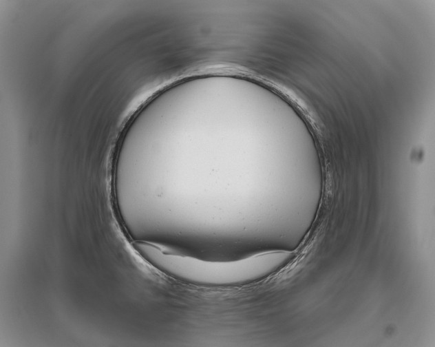 X0000096451430200802211223