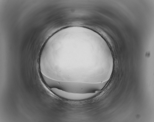 X0000096451432200802211223