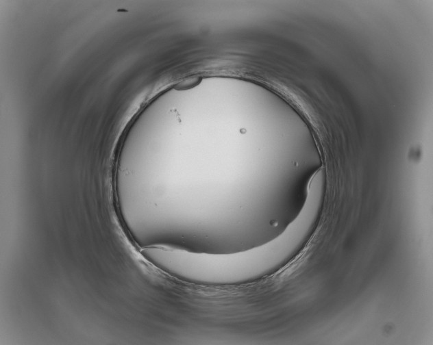 X0000096451434200802211223