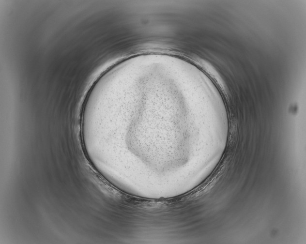 X0000096451435200802211224