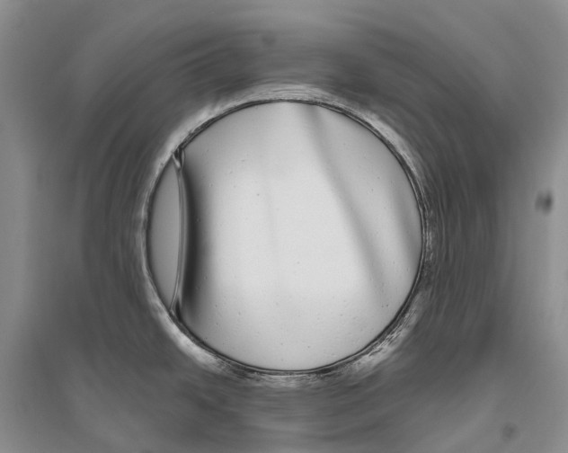 X0000096451438200802211224